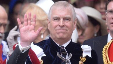 Royal family uses Prince Andrew as a scapegoat to cover up bigger scandals