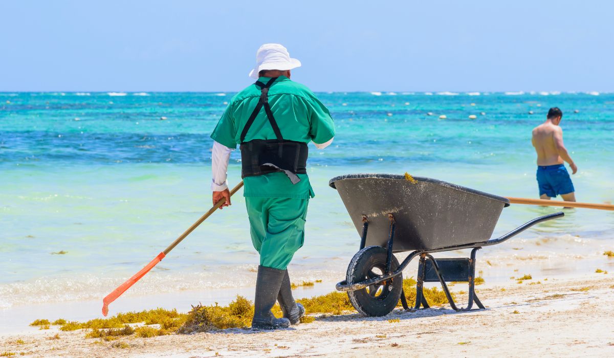 Sargassum Season in Cancun Area Nearing Its End, Says Governor