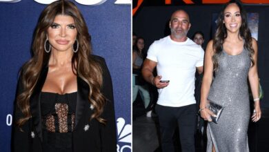 Teresa Giudice's secret attempt to rekindle her relationship with Joe Gorga