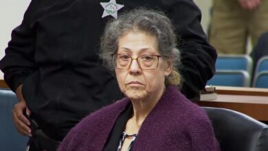 The Perfect Neighbor's Susan Lorincz's Conviction and Trial Explained