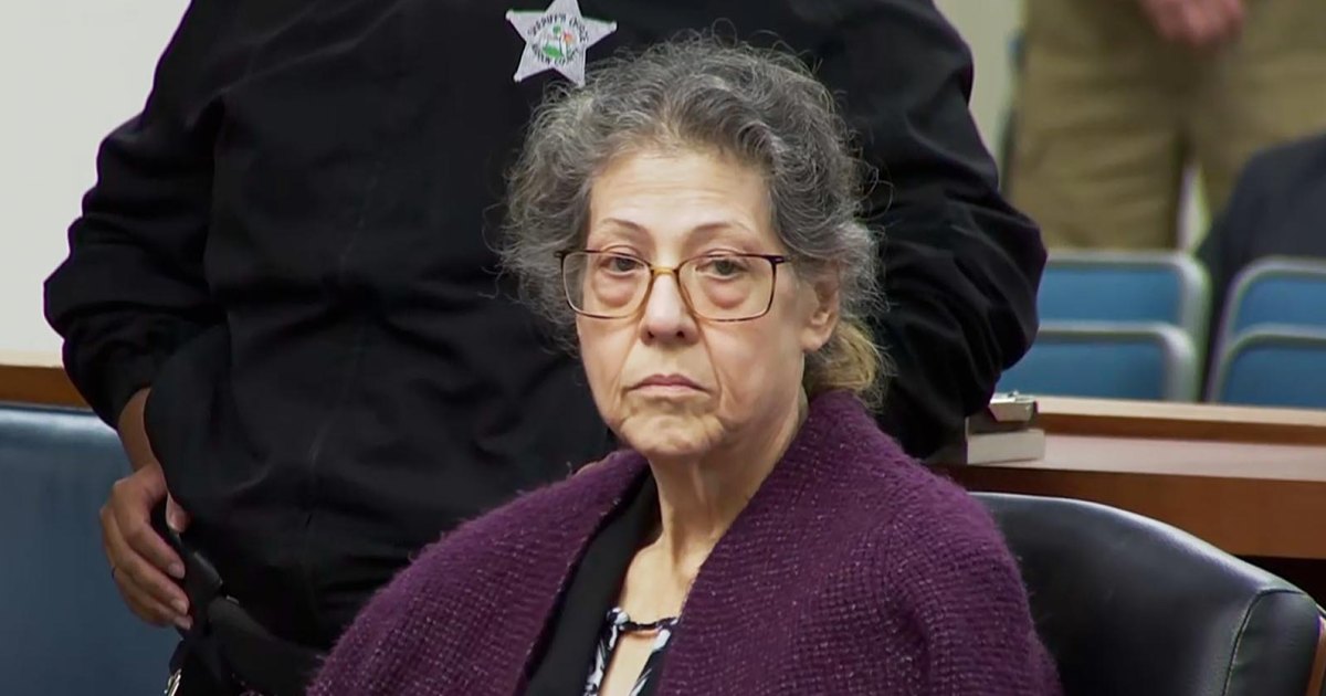 The Perfect Neighbor's Susan Lorincz's Conviction and Trial Explained