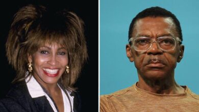Tina Turner's son Ike Jr. Death at the age of 67 as a family struggles with heartache