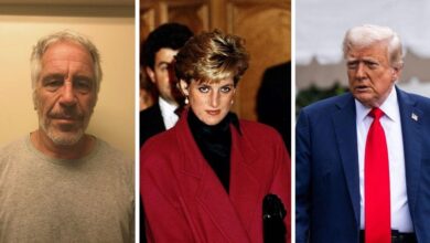 Trump & Epstein's Race to win over Princess Diana exposed