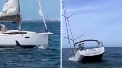 Video Shows Orcas Sinking Boat Off Lisbon Coast