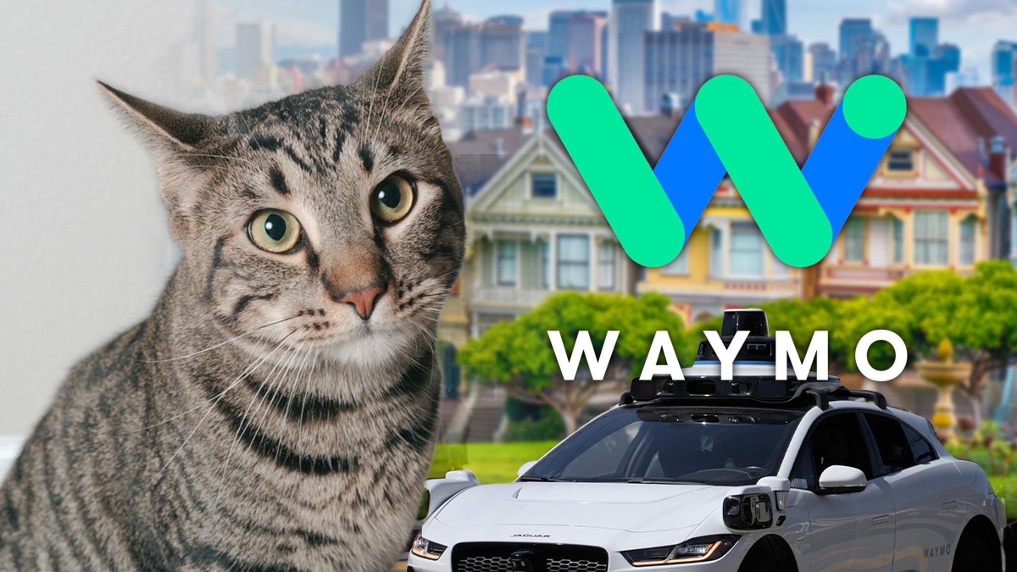 Waymo says cat shot under self-driving car before fatal crash in San Francisco