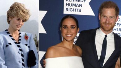 Why Harry 'wouldn't have married Meghan if Diana had lived'