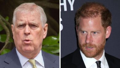 Will Prince Andrew lose his royal patronage? His future explained