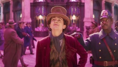 9 must-see fantasy films on Netflix (November 2025): Wonka and more