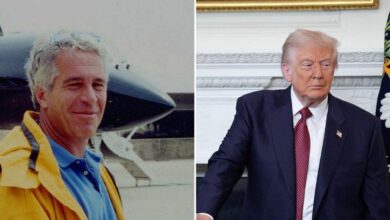 A Look Inside Jeffrey Epstein's Plot to 'Get Trump to Hang Himself'