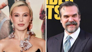 A look inside Millie Bobby Brown and David Harbour's rollercoaster relationship
