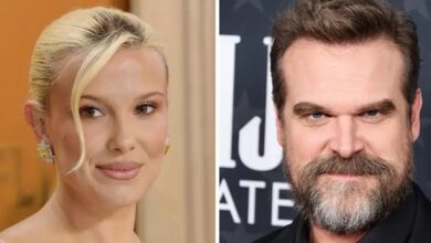 All signs missed in David Harbour's bullying allegations