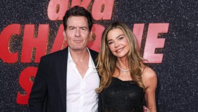 Are Denise Richards and Charlie Sheen active again?