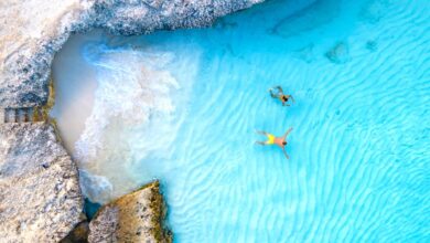 Best Black Friday 2025 Travel Deals Across the Global Tourism Industry