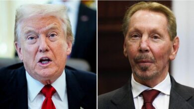 CNN hosts are ready to face the ax if Trump gets his way