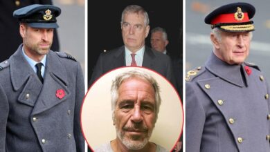 Charles and William 'on ruthless charm offensive' to 'save the monarchy'