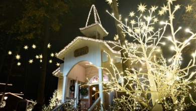 Discover the sparkling holiday magic of Tennessee | News