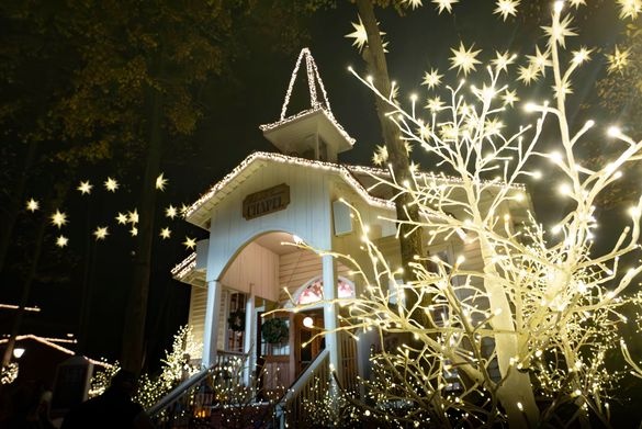 Discover the sparkling holiday magic of Tennessee | News