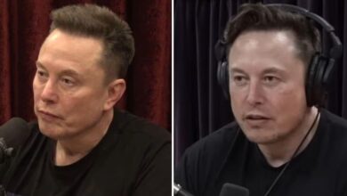 Doctors concerned about Elon Musk's appearance in new Joe Rogan interview