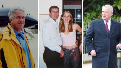 Epstein's admission brings even more shame to Andrew Windsor