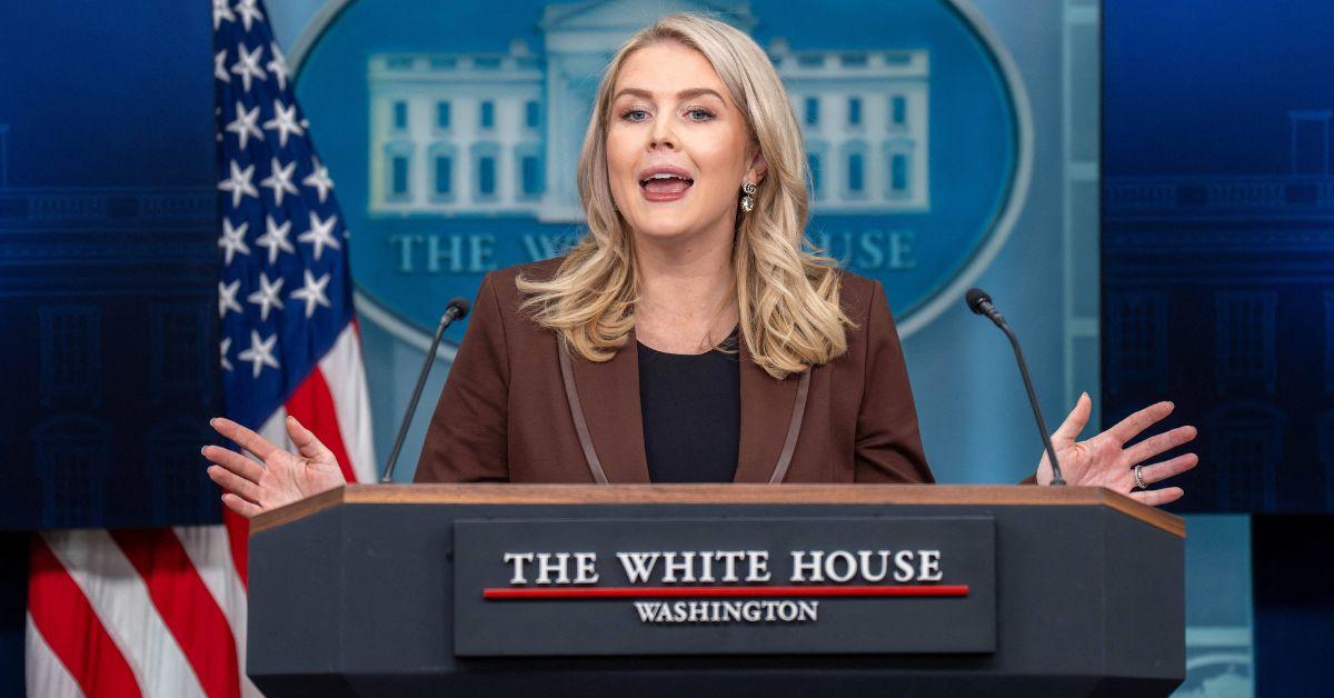 Family member of Karoline Leavitt arrested by ICE