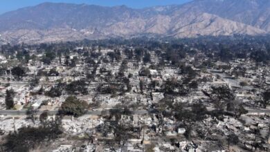 ALTADENA, CALIFORNIA - JANUARY 19: An aerial view of homes that burned in the Eaton Fire in Altadena, California on January 19, 2025. Multiple wildfires fueled by intense Santa Ana winds have spread across Los Angeles County, killing at least 27 and putting more than 180,000 people under evacuation orders. More than 12,000 structures, including many homes and businesses, burned during the Palisades and Eaton fires. (Photo by Mario Tama/Getty Images)