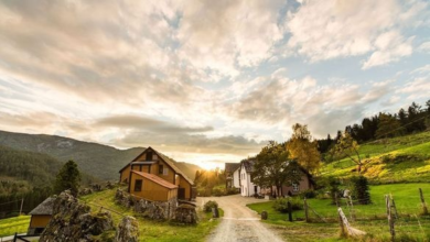 Jacada's Positive Impact collection expands with new properties | News