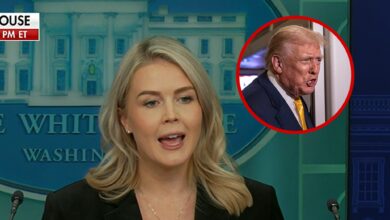 Karoline Leavitt says President Trump was just being honest by calling reporter Piggy