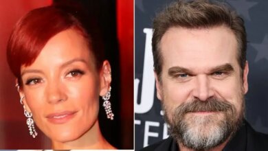 Lily Allen Mocks Ex David Harbor With 'Sex Toy' Album Release Party Gifts