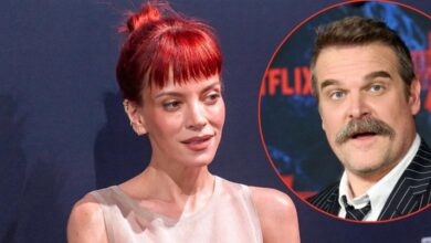 Lily Allen furious that her album didn't hurt David Harbour