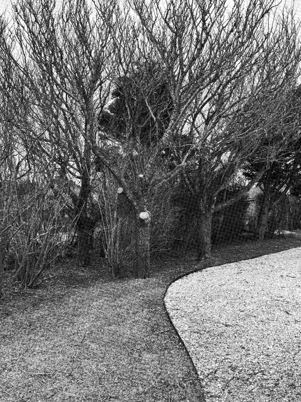 Nantucket Homeowner Accused of Cutting Down Neighbor's Trees, Sells Property for $2.1 Million Below Asking