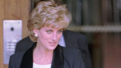 New book reveals deception behind Princess Diana BBC Tell-All