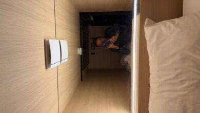 One night in a cocoon | Focus