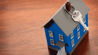 Contributor's Piece (36)