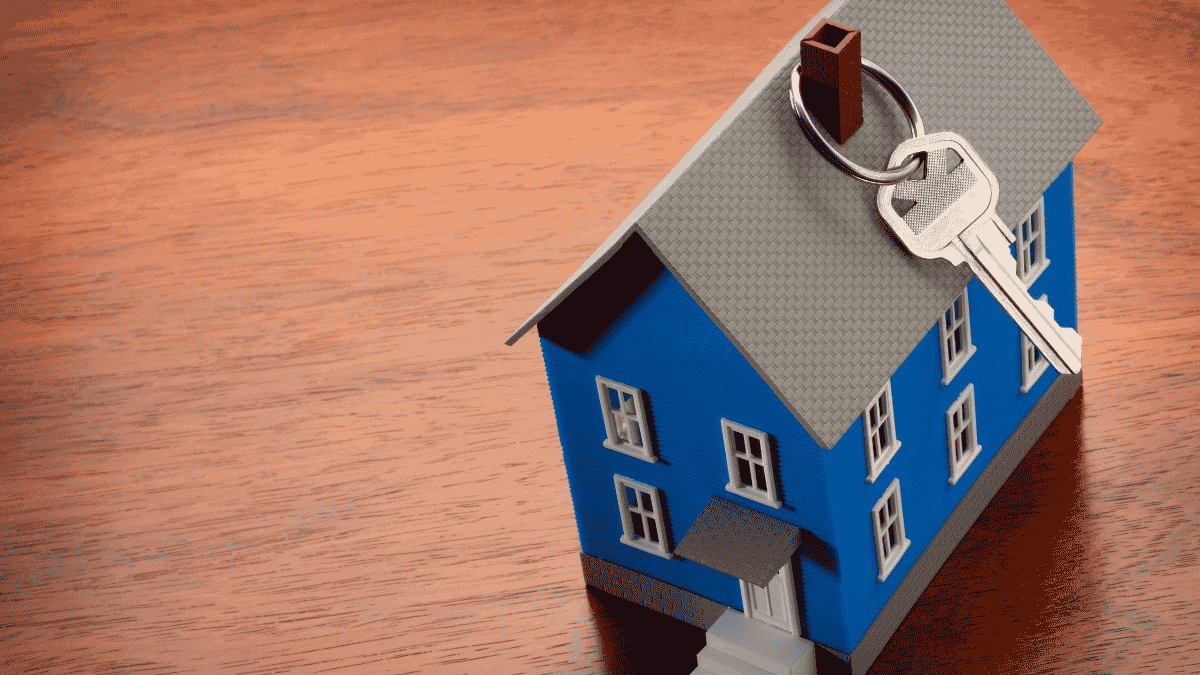 Contributor's Piece (36)