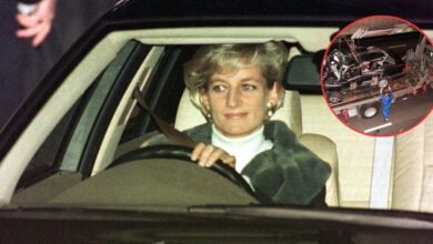 Princess Diana secret files robbery plot fueled by conspiracy theorists