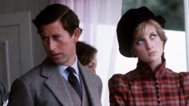 Princess Diana's royal tour led to the marriage breaking up