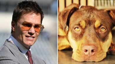 Tom Brady reveals that his new dog Junie is a clone of his previous dog Lua