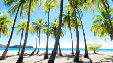 U.S. Embassy in Costa Rica Warns of Rising Crime Against Foreigners