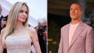 Angelina Jolie 'Building on the Pain of Brad Pitt's Divorce' for New Role