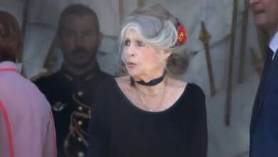 Brigitte Bardot Death Hoax Controversy Exposed After Her Death