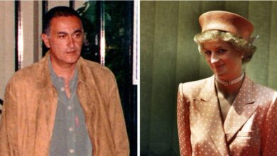 Diana is said to have had a collision with Dodi Fayed hours before their deaths