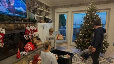 Dylan Dreyer proudly unveils first Christmas tree after leaving New York City for the suburbs with her three sons