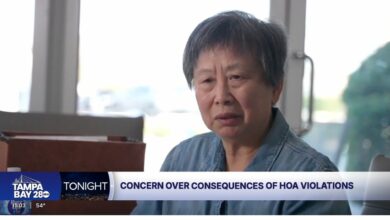 Neighbors of Ying Pang told Tampa Bay 28 that her tenants and guests were causing problems in the neighborhood.