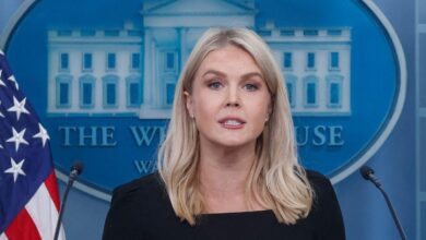 Family member of Karoline Leavitt swamped by ICE in surveillance video