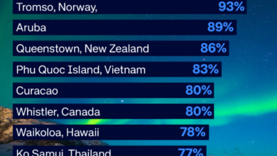 Festive occupancy holds steady worldwide while room rates rise year-on-year