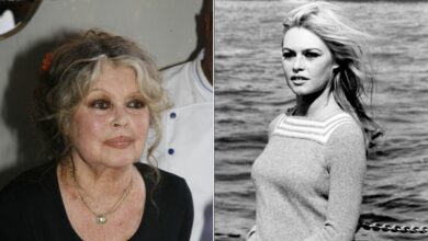French film icon killed animal crusader Brigitte Bardot at the age of 91