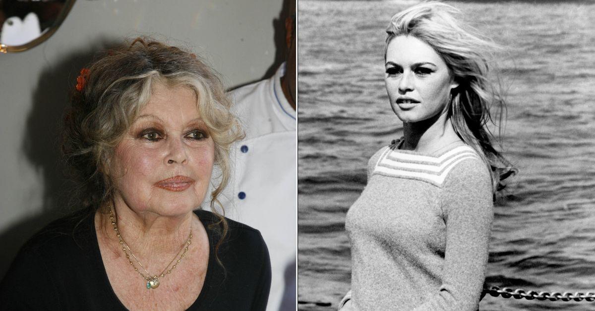 French film icon killed animal crusader Brigitte Bardot at the age of 91