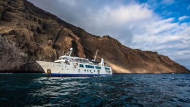 How Boutique Expedition Cruising is shaping sustainable tourism in Latin America | News