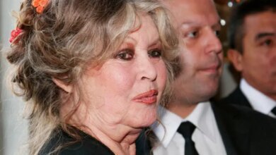 How Brigitte Bardot Divides a $65 Million Fortune After Death