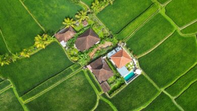 Bali vs Airbnb How a Potential Ban Could Reshape Tourism on the Island.jpg